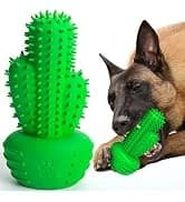 Cactus Dog Chew Toy for Aggressive Chewers — collection imagery