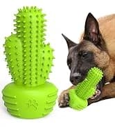 Cactus Dog Chew Toy for Aggressive Chewers — collection imagery