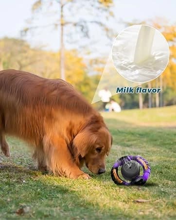 Cactus Dog Chew Toy for Aggressive Chewers — collection imagery