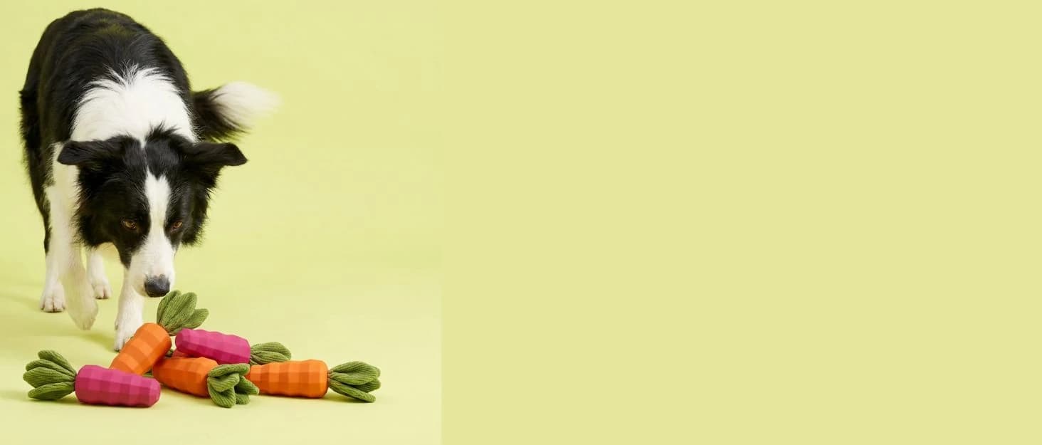 Dog Chew Toys for Aggressive Chewers — Rubber Squeaky Dog Toys — collection imagery