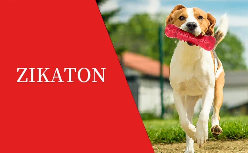 Dog Squeaky Toys for Aggressive Chewers — Chew Dog Toys