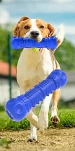 Dog Squeaky Toys for Aggressive Chewers — product details