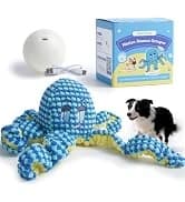 Dog Squeaky Toys — 5 PCS Crinkle Plush Dog Toys — collection imagery