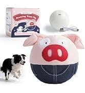 Dog Squeaky Toys — 5 PCS Crinkle Plush Dog Toys — collection imagery