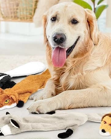 Unstuffed Woodland Squeaky Dog Toys — 5 Pack — collection imagery