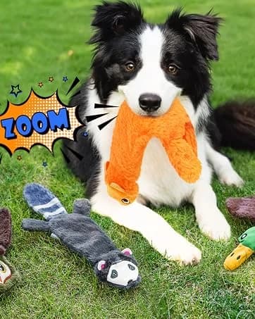 Unstuffed Woodland Squeaky Dog Toys — 5 Pack — collection imagery