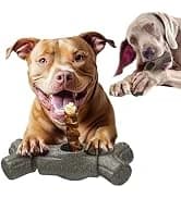 Dog Toy — Large Dog Squeaky Toys — collection imagery