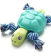 Dog Toy — Large Dog Squeaky Toys — collection imagery