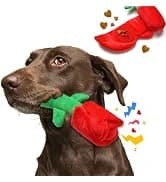 Dog Puzzle Enrichment Toy — Squeaky Crinkle Plush Turtle Puppy Toy — collection imagery