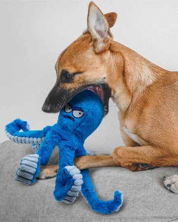 Tough Dog Toys โ Stuffed Chew Large Dog Toys to Keep Them Busy โ collection imagery