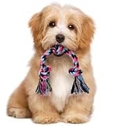 Large Tough Chew Toys for Aggressive Chewers — 9 Pack Dog Rope Toys — collection imagery