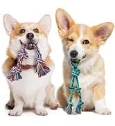 Large Tough Chew Toys for Aggressive Chewers — 9 Pack Dog Rope Toys — collection imagery