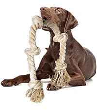 Dog Rope Toys for Aggressive Chewers — Chew Toys for Large Medium Dogs — collection imagery
