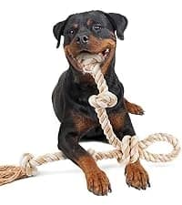 Dog Rope Toys for Aggressive Chewers — Chew Toys for Large Medium Dogs — collection imagery