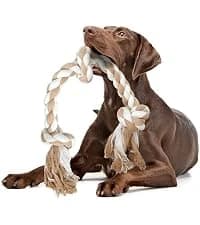 Dog Rope Toys for Aggressive Chewers — Chew Toys for Large Medium Dogs — collection imagery