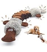 Funny Plush Dog Chew Toys — Squeaky Dog Toys — collection imagery