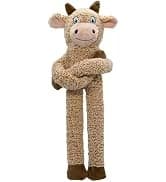 Funny Plush Dog Chew Toys — Squeaky Dog Toys — collection imagery