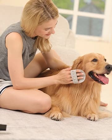 Dog Puzzle Toy — Interactive Treat Dispensing Toys — collection imagery