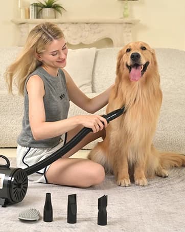 Dog Puzzle Toy — Interactive Treat Dispensing Toys — collection imagery