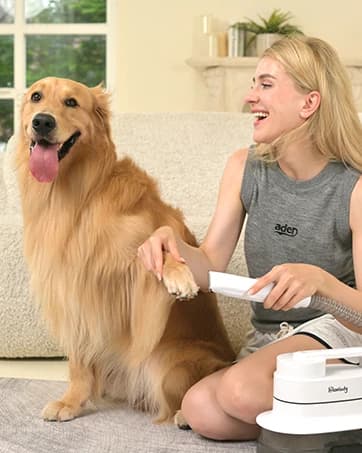 Dog Puzzle Toy — Interactive Treat Dispensing Toys — collection imagery