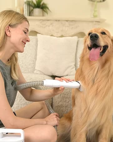 Dog Puzzle Toy — Interactive Treat Dispensing Toys — collection imagery