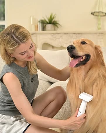 Dog Puzzle Toy — Interactive Treat Dispensing Toys — collection imagery