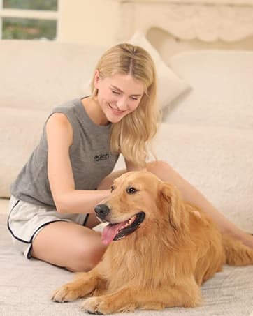 Dog Puzzle Toy — Interactive Treat Dispensing Toys — collection imagery