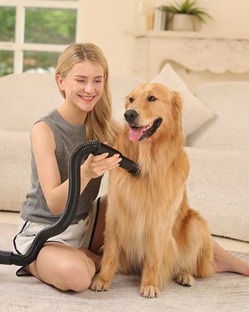 Dog Puzzle Toy — Interactive Treat Dispensing Toys — collection imagery