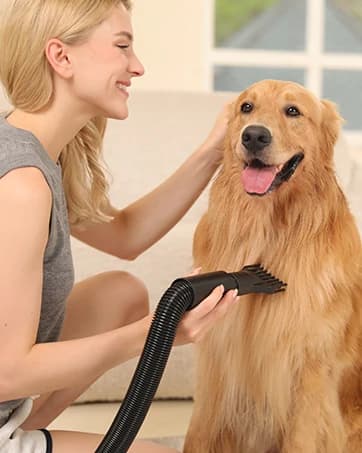 Dog Puzzle Toy — Interactive Treat Dispensing Toys — collection imagery