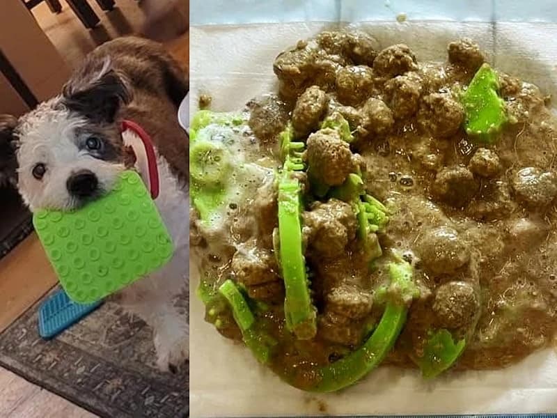 Lick Mat for Dogs and Cats — Double-Wall Stainless Steel — WHY DO WE STRONGLY AGAINST SILICONE MATS?