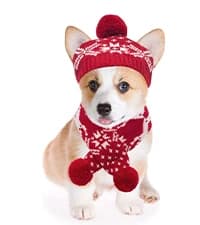 Cable Knit Turtleneck Dog Sweater with Leash Opening — collection imagery