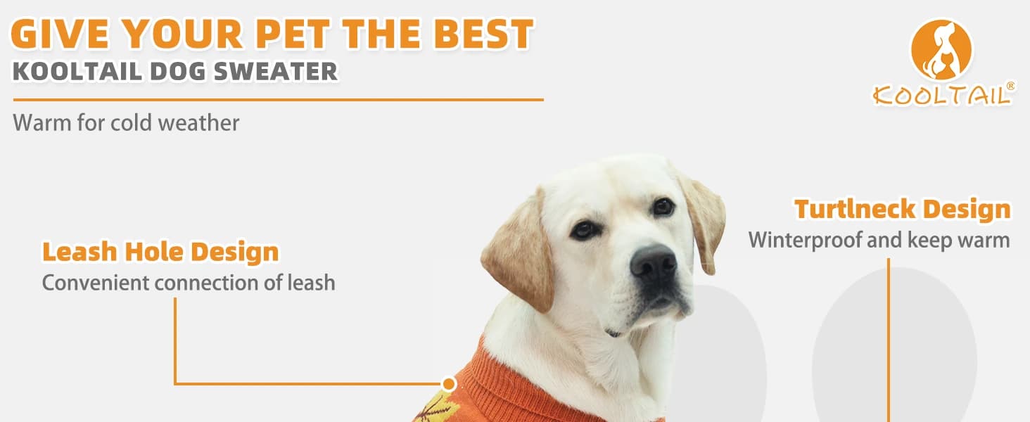 Small Dog Sweater — Fall Dog Sweater with Autumn Maple Leaf Pattern — product details