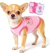 2 Pack Dog Sweaters for Small Dogs — Chihuahua Yorkie Sweater — collection imagery