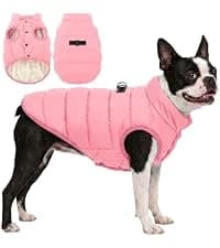 Reversible Dog Winter Coat — Dog Jacket for Small — collection imagery