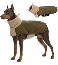 Reversible Dog Winter Coat — Dog Jacket for Small — collection imagery