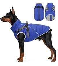 Reversible Dog Winter Coat — Dog Jacket for Small — collection imagery