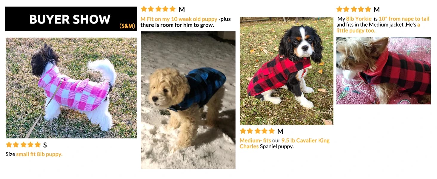 Reversible Dog Winter Coat — Dog Jacket for Small — collection imagery