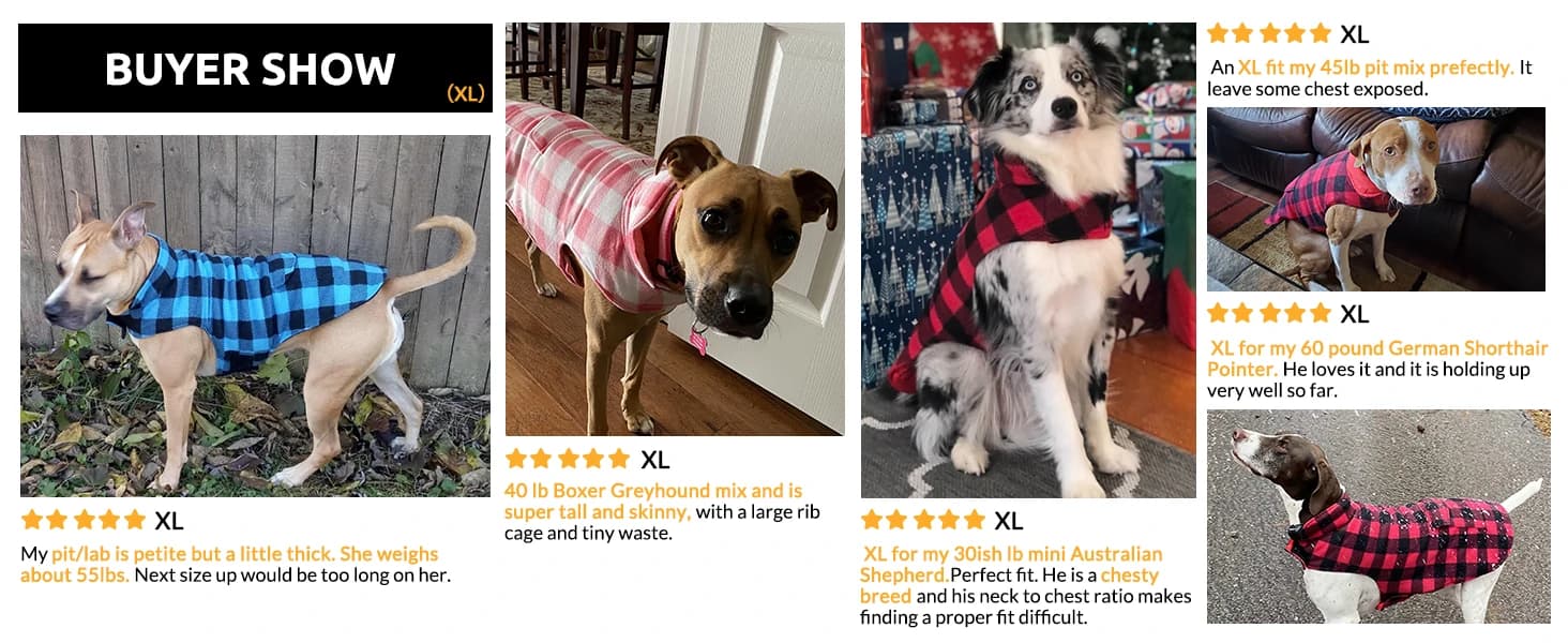 Reversible Dog Winter Coat — Dog Jacket for Small — collection imagery