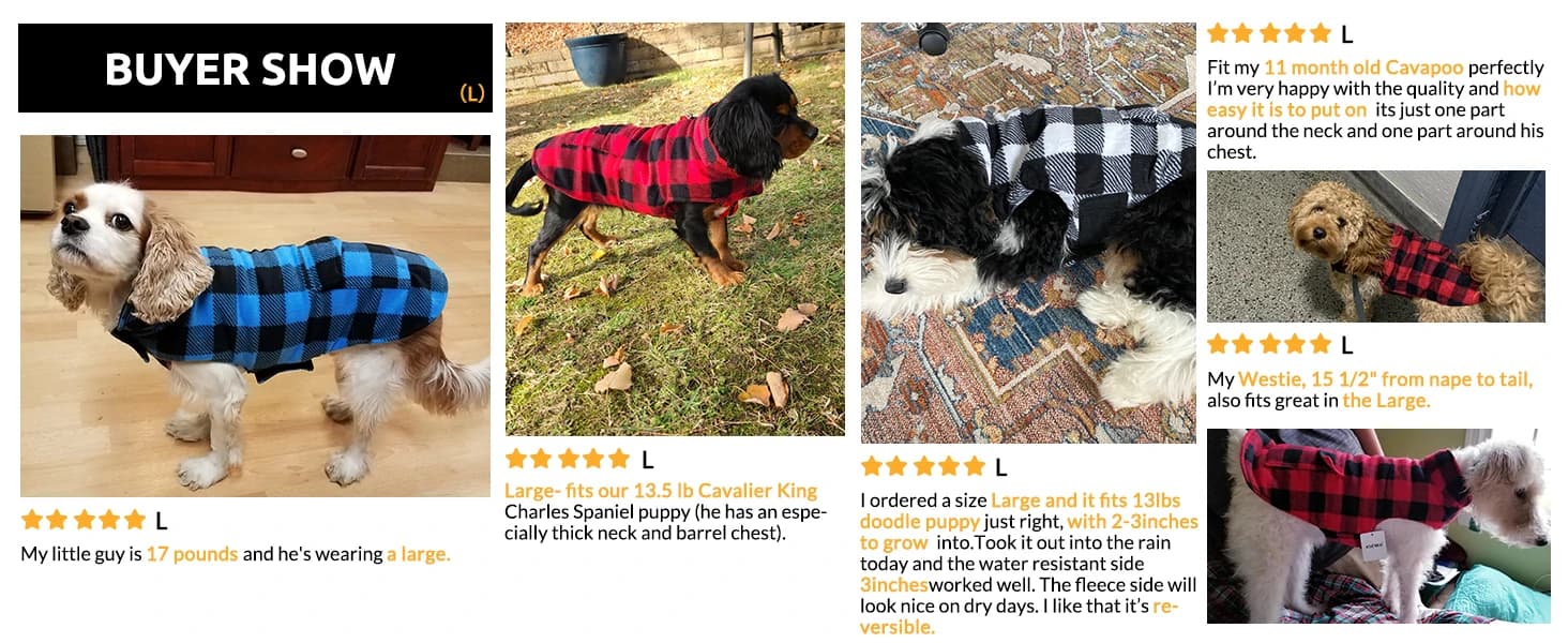 Reversible Dog Winter Coat — Dog Jacket for Small — collection imagery