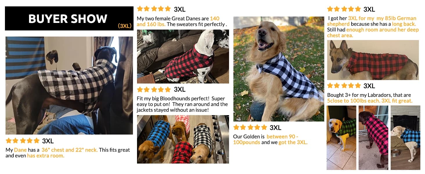 Reversible Dog Winter Coat — Dog Jacket for Small — collection imagery