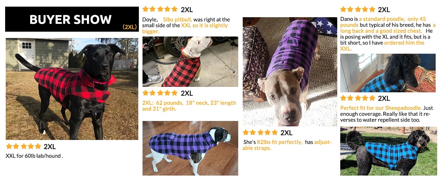 Reversible Dog Winter Coat — Dog Jacket for Small — collection imagery