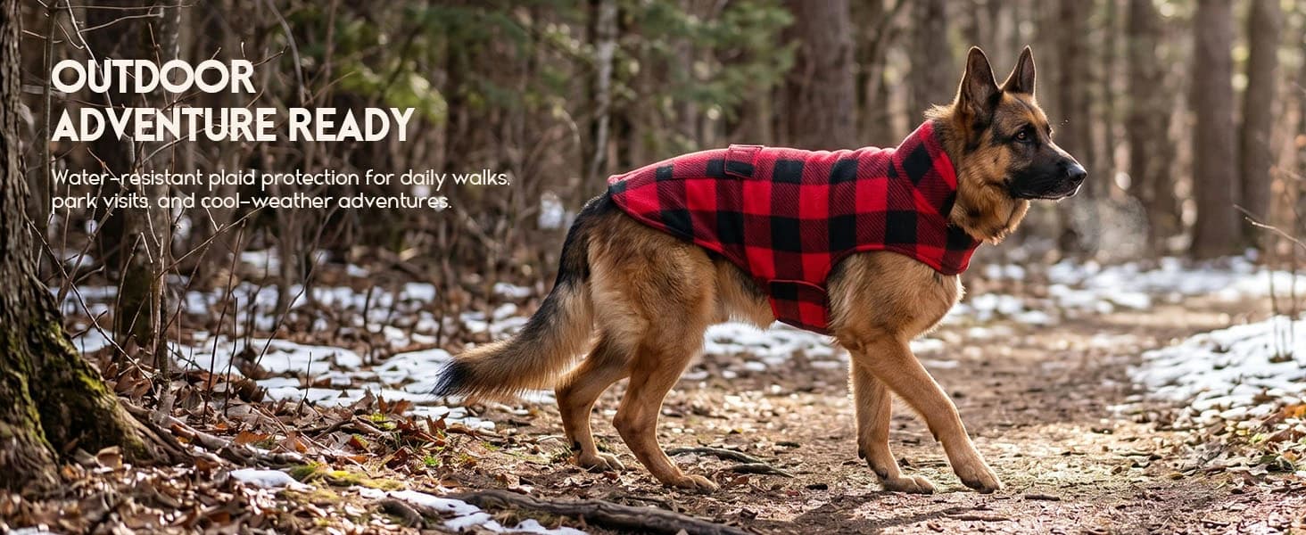 Reversible Dog Winter Coat — Dog Jacket for Small — collection imagery