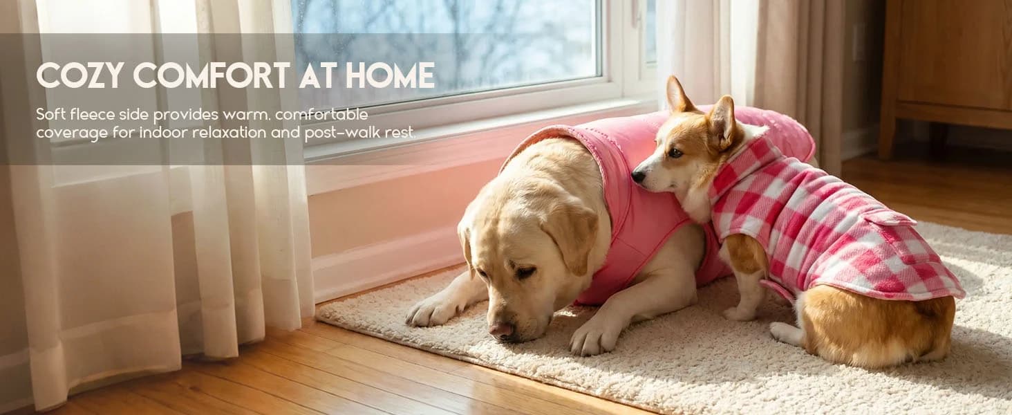 Reversible Dog Winter Coat — Dog Jacket for Small — collection imagery
