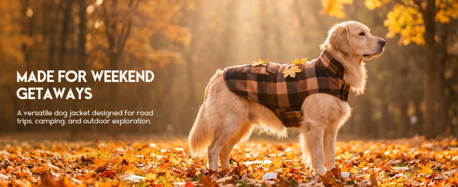 Reversible Dog Winter Coat — Dog Jacket for Small — collection imagery