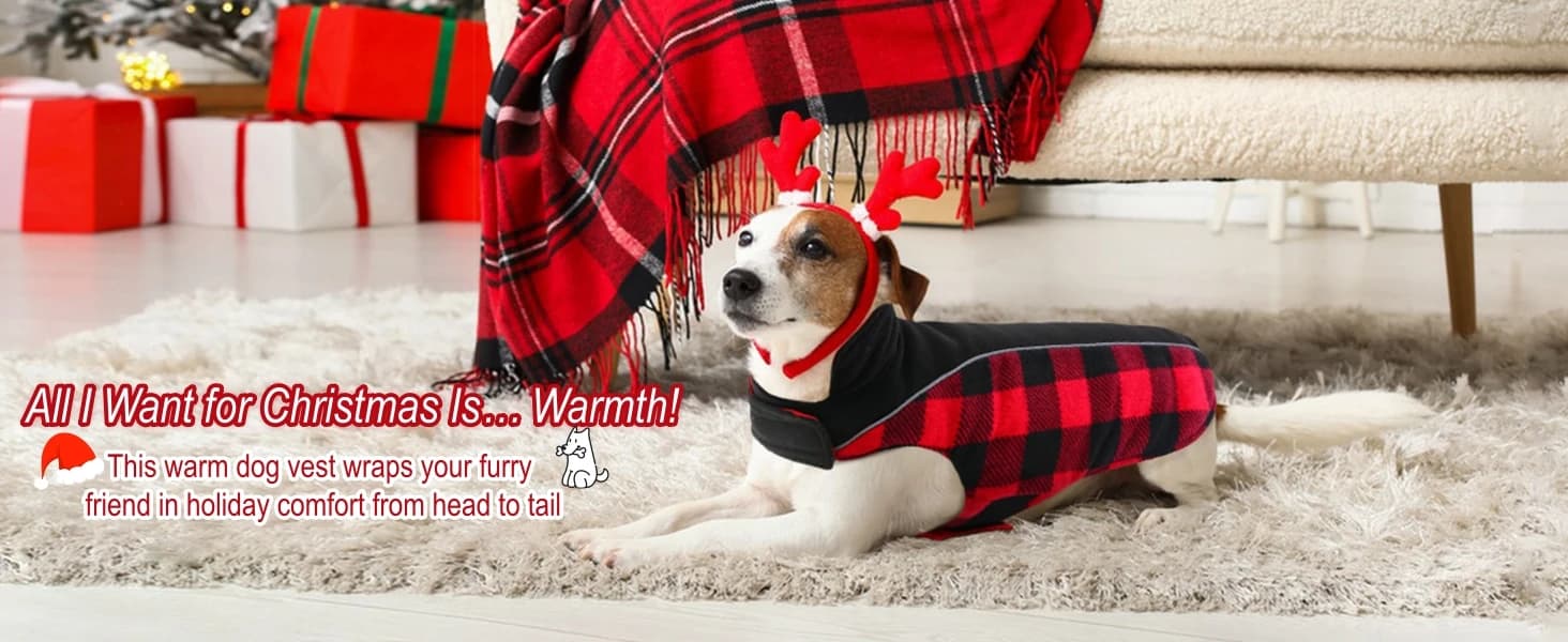 Dog Winter Coat — Reversible Waterproof Dog Jacket with Reflective Strip — collection imagery