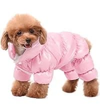 Waterproof Dog Coat Dog Jacket Fullbody Dogs Winter Coat Snowsuit — collection imagery
