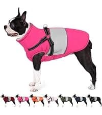 Waterproof Dog Coat Dog Jacket Fullbody Dogs Winter Coat Snowsuit — collection imagery