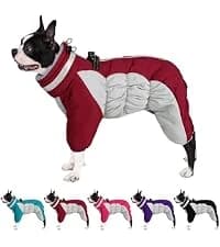 Waterproof Dog Coat Dog Jacket Fullbody Dogs Winter Coat Snowsuit — collection imagery