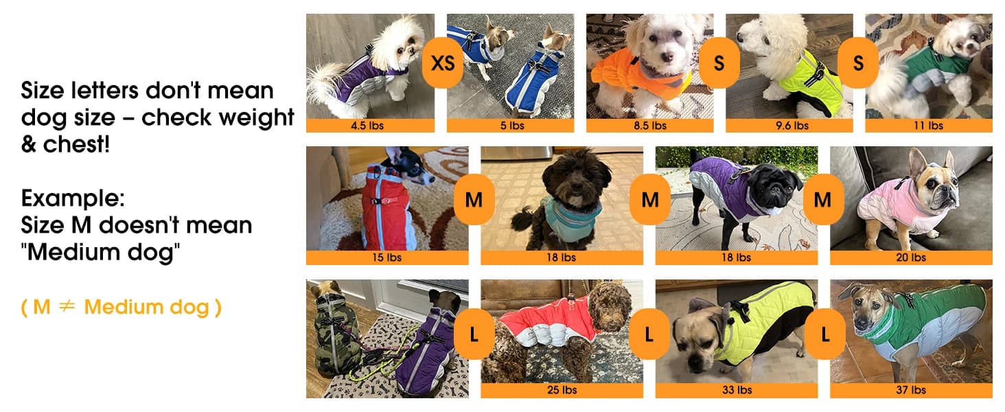 Dog Coat Warm Dog Winter Coat Waterproof Dogs Jacket with Harness — collection imagery