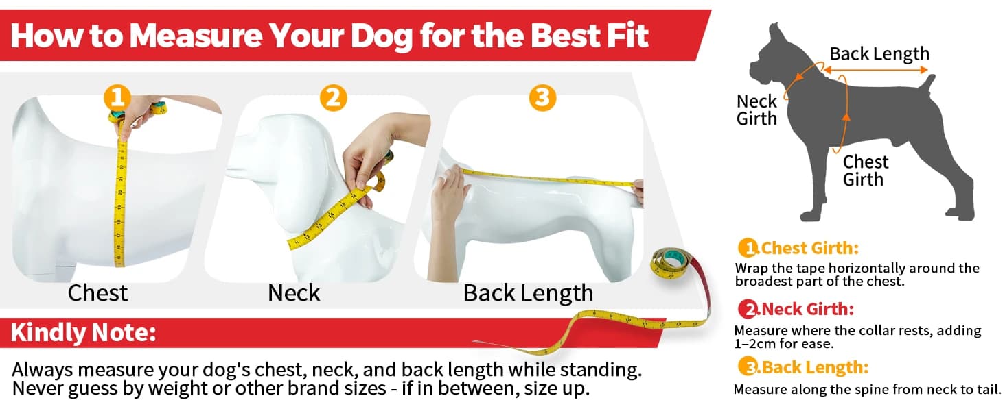 Dog Coat Warm Dog Winter Coat Waterproof Dogs Jacket with Harness — collection imagery